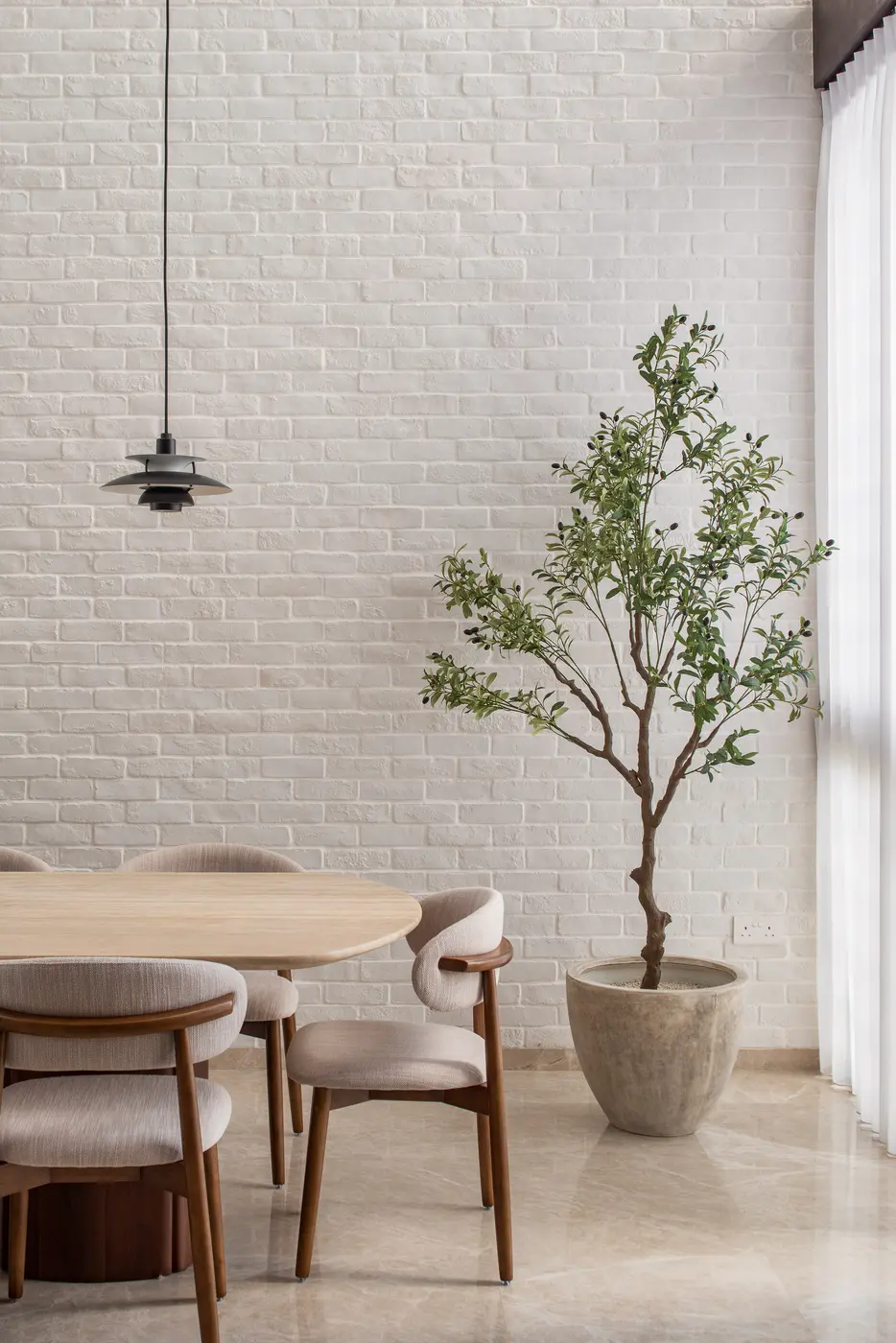 Olive tree close-up against white brick wall